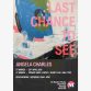 'Last Chance To See' solo exhibition at The Mowlem, Swanage March/April 2026